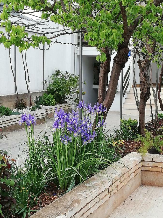 Apartman 2 Zara Esterno foto